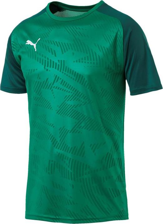 Actual product image Puma CUP Training Jersey Core (S)