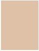 Actual product image L'Oréal Paris Infaillible 24H Fresh Wear (120 vanilla)