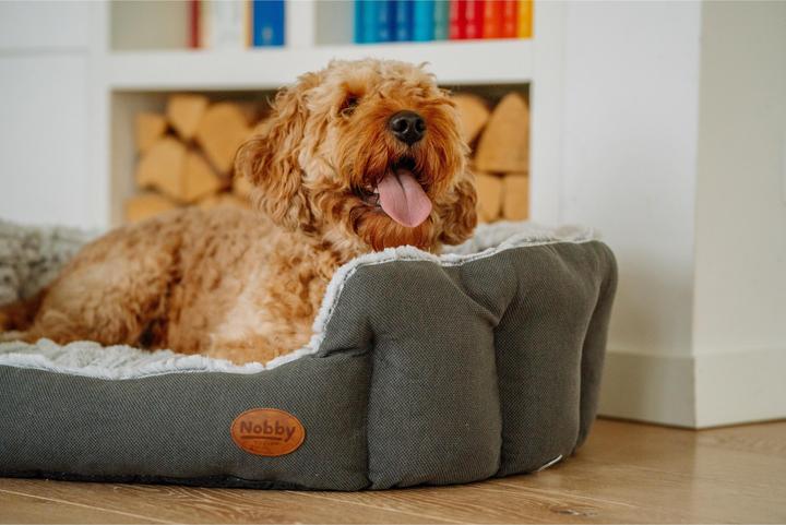 Actual product image Nobby Comfort bed oval CACHO (Dog)