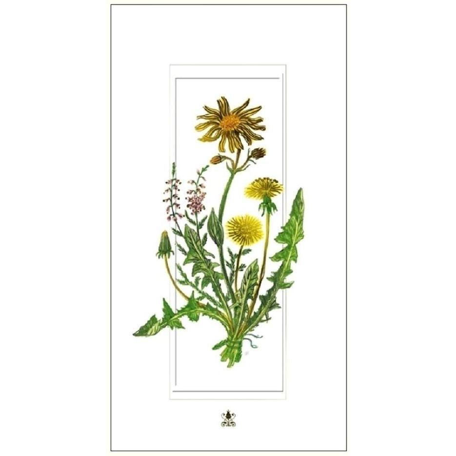 Davinci, Biglietto di auguri + Carta da lettere, Karte 12x23cm + Umschlag Pusteblumen