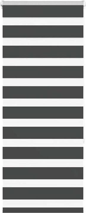 Produktbild vidaXL Zebra-Jalousie (65 x 150 cm)