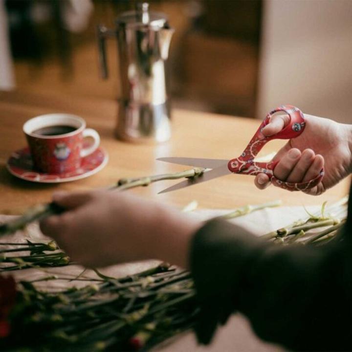 Actual product image Fiskars FXI žirklės 21 cm Taika red (21 cm)