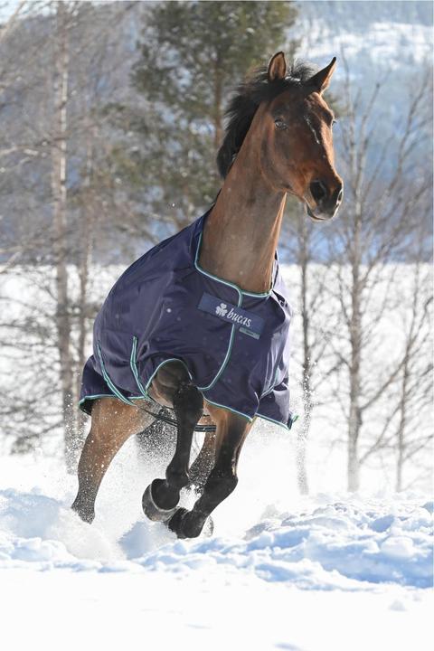 Produktbild Bucas Winterdecke Smartex Extra Classic 300g (165 cm)