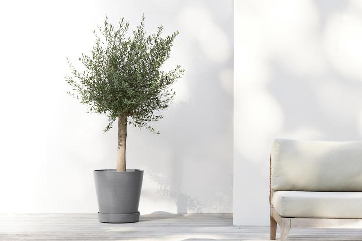 Produktbild Ecopots Saucer on Wheels