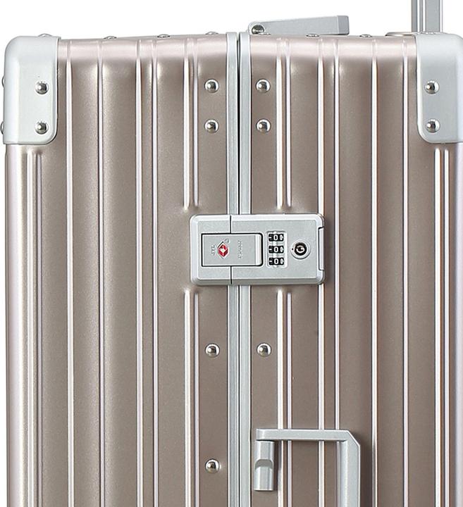 Actual product image Aleon Fortis - 26" Traveler (65 l)