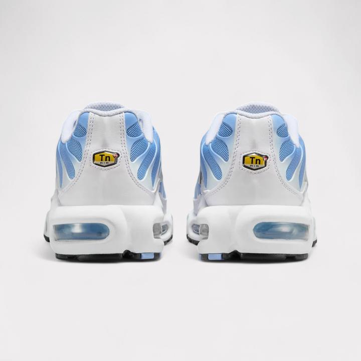 Image du produit Nike Air Max Plus (41)