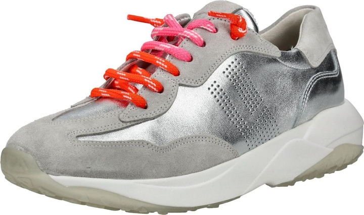 Grey/Silver