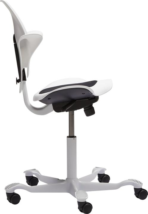 Actual product image HAG Capisco Puls 8010