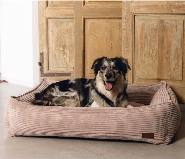 Productafbeelding Designed by Lotte Geribbeld (Hond)