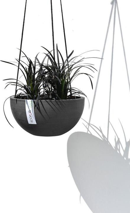 Immagine prodotto Ecopots Hanging Brussels (27 cm)