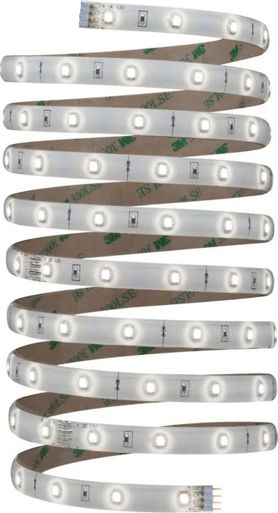 Immagine prodotto Paulmann La tua striscia LED (Bianco freddo, 300 cm, Interno)