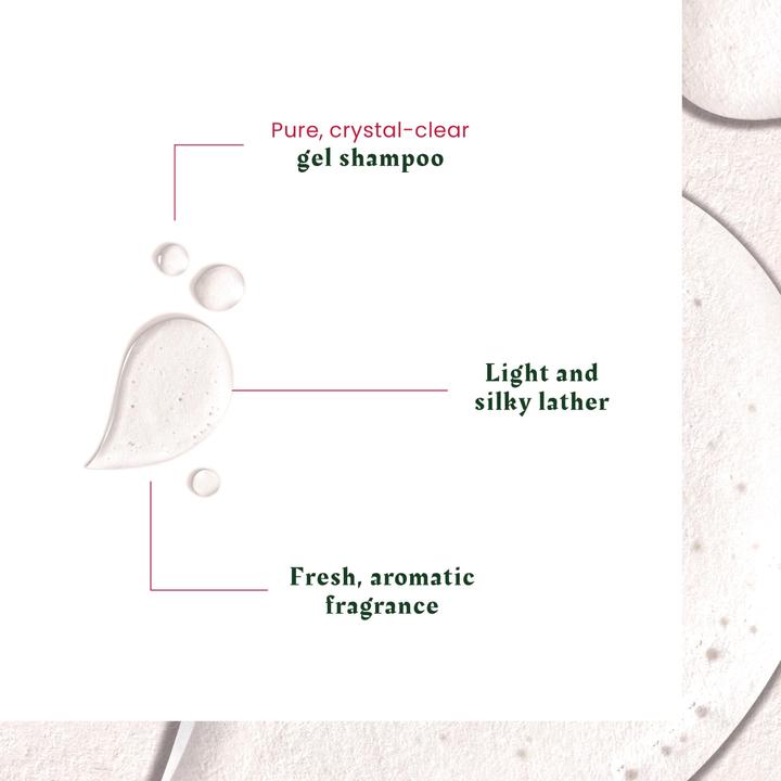 Actual product image Rene Furterer Neopur - Anti-Dandruff Shampoo - Oily Dandruff (250 ml)