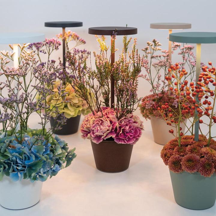 Image du produit Zafferano Poldina Reservo (262 lm, IP54)