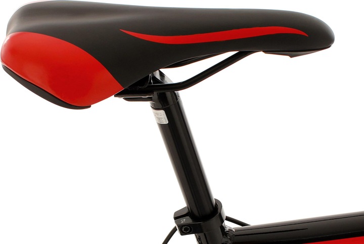 Immagine prodotto KS Cycling Euforia (62 cm)