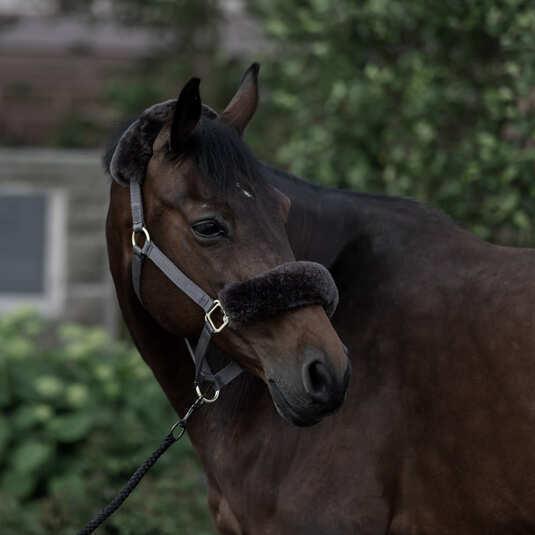 Immagine prodotto B Vertigo Laurier
