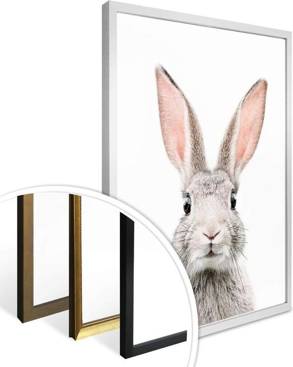 Produktbild Trenddeko Hasenohren