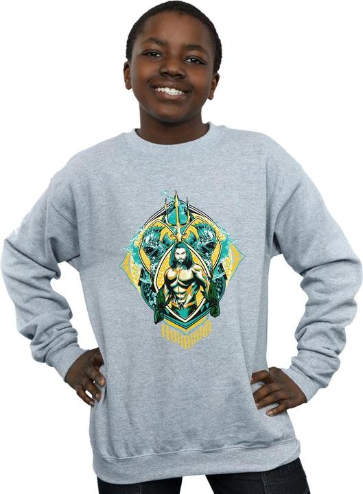 Image du produit Sweatshirt garçon Aquaman The Trench Crest (140, 146)
