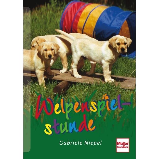 Welpenspielstunde, Ratgeber von Gabriele Niepel