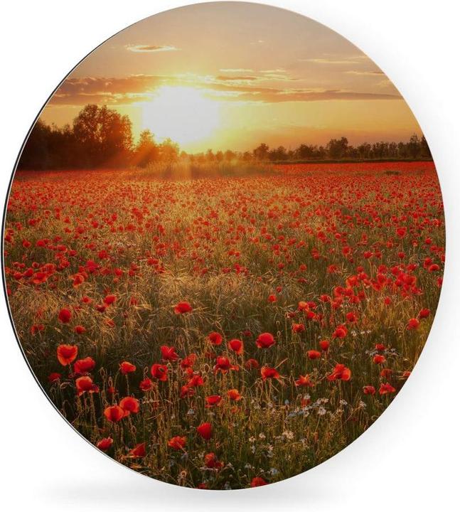 Actual product image Trenddeko Poppy field in sunset (Ø 30 cm)