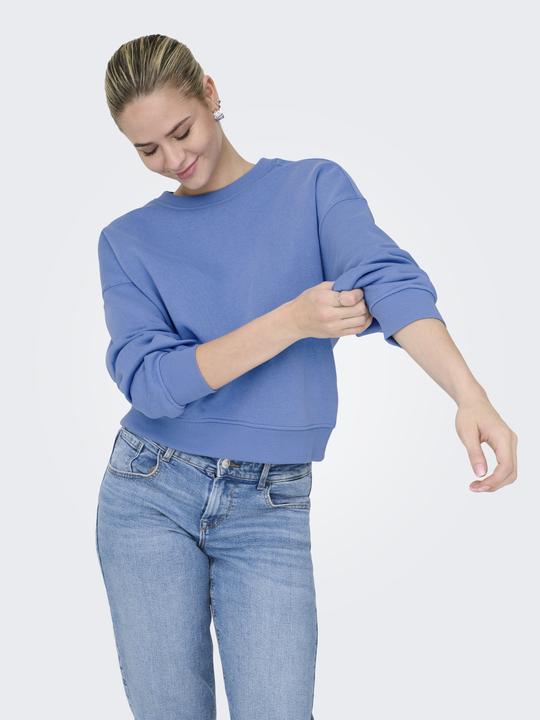 Image du produit Only Onlbest L/S Crew Neck Swt Noos (XS)