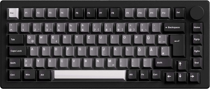 Actual product image Akko Monsgeek M1 V5 (DE, Cable, Wireless)