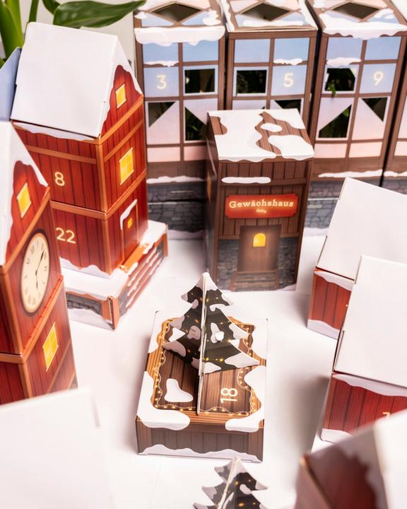 Actual product image feey Pflanzen Adventskalender (60 cm)