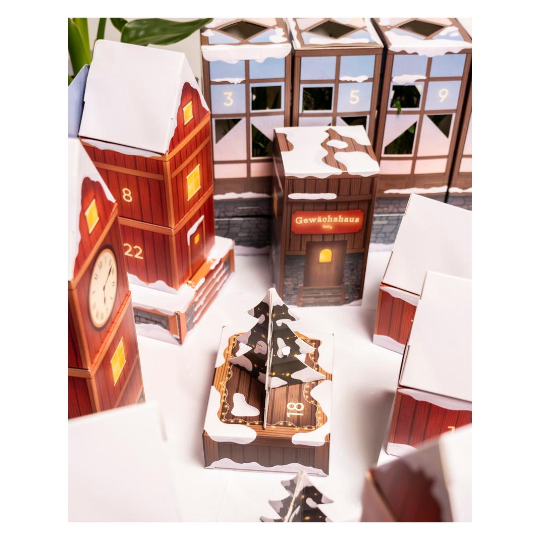 feey Pflanzen Adventskalender - kaufen bei Galaxus - Galaxus