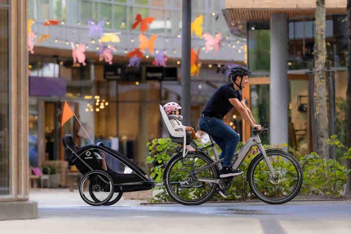 Actual product image hamax Caress (Carrier)