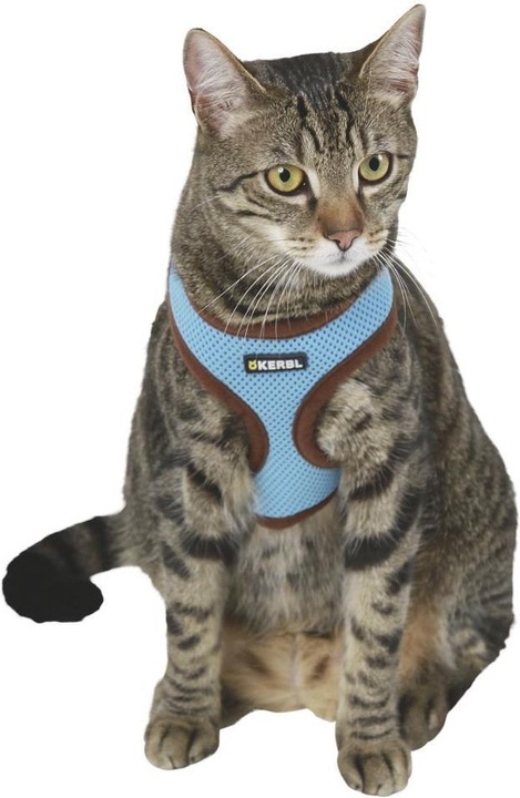 Immagine prodotto Kerbl Imbracatura per gatti Attivo (Taglia unica, Gatto, Generale)