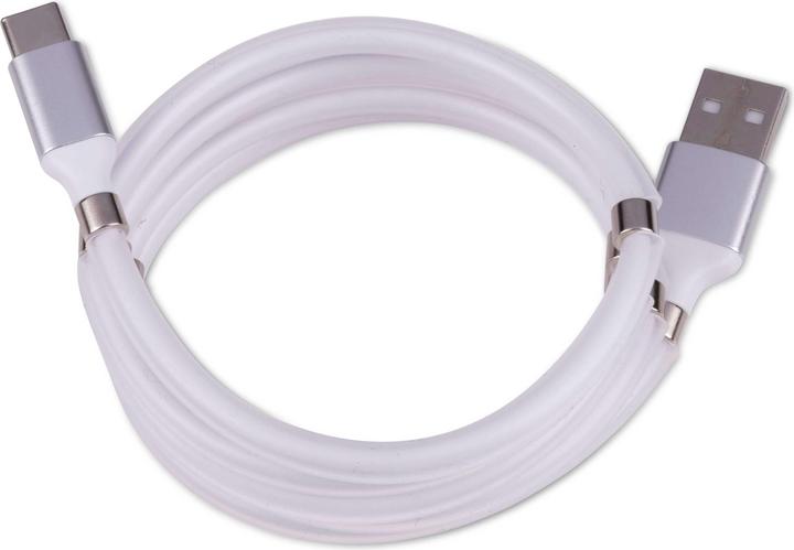 Grundig Cable USB-A-USB type-C 1m Mag (1 m)