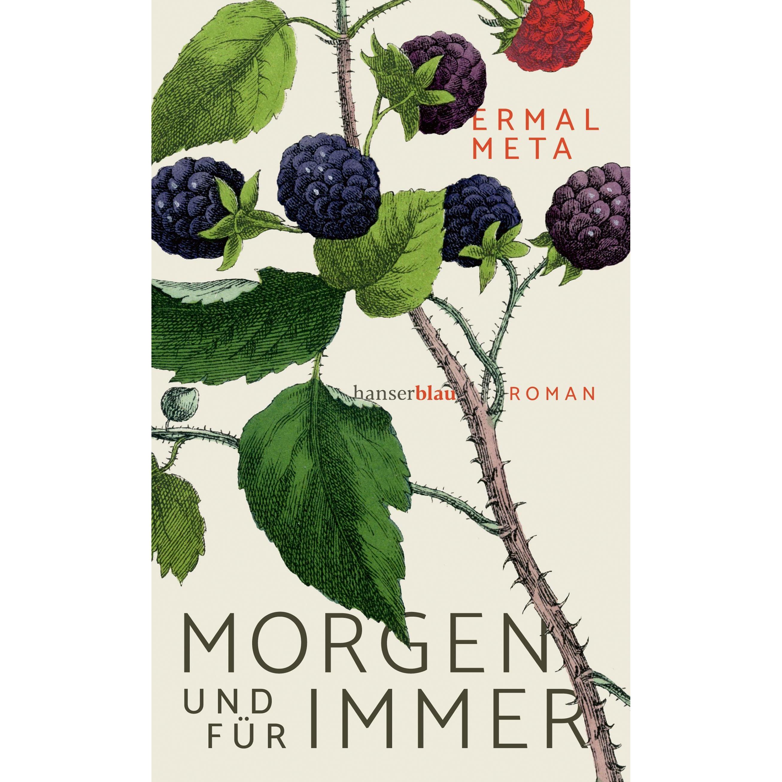 Thumbnail - Morgen und für immer, Belletristik von Peter Klöss, Ermal Meta