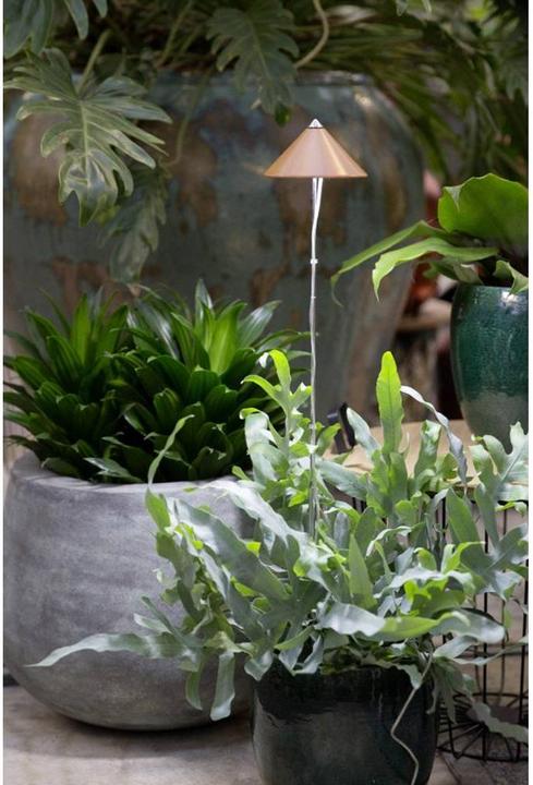 Immagine prodotto Colibri Sunlite (LED, 230 V)