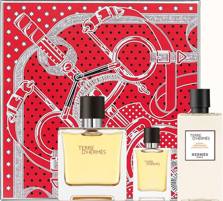 Image du produit Hermès Terre D'hermes (Eau de parfum, 100 ml)
