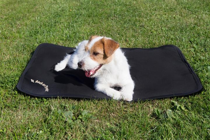 Image du produit Back on Track Matelas pour chien Cage Fit (Chien)