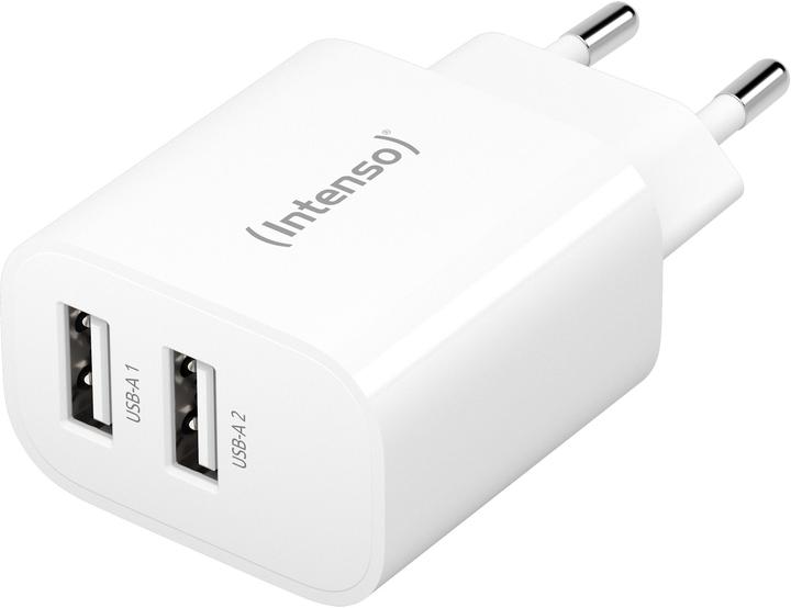 Intenso ADAPTATEUR D'ALIMENTATION 2XUSB-A/7802412 (24 W, 2 ports)
