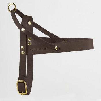 Molly & Stitch Butter Leder Hundegeschirr (Hund, Hundesport)