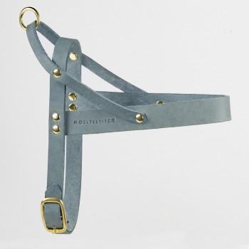Produktbild Molly & Stitch Butter Leder Hundegeschirr (S, Hund)