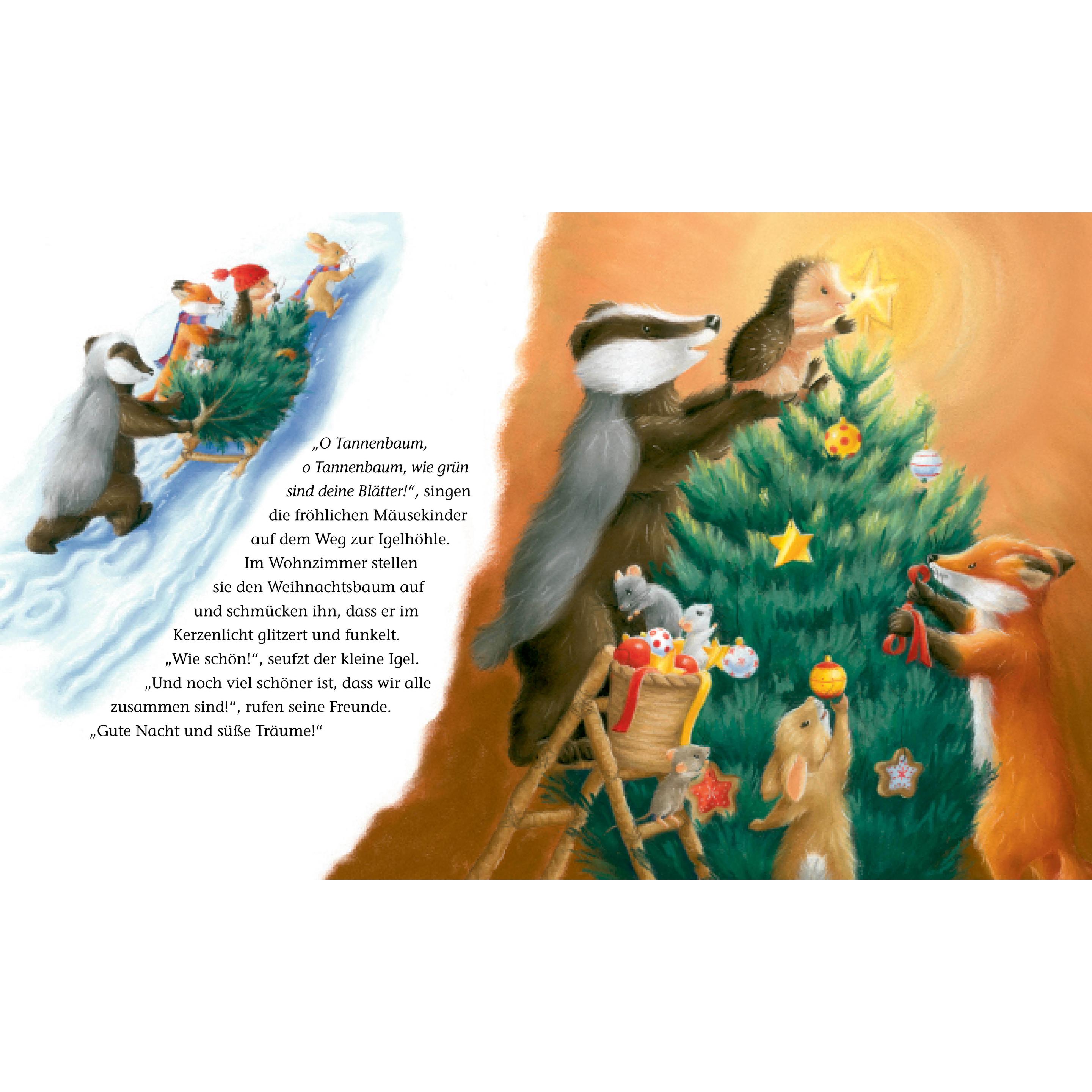 Thumbnail - Der kleine Igel und der Gast im Weihnachtsbaum, Kinderbücher von M Christina Butler
