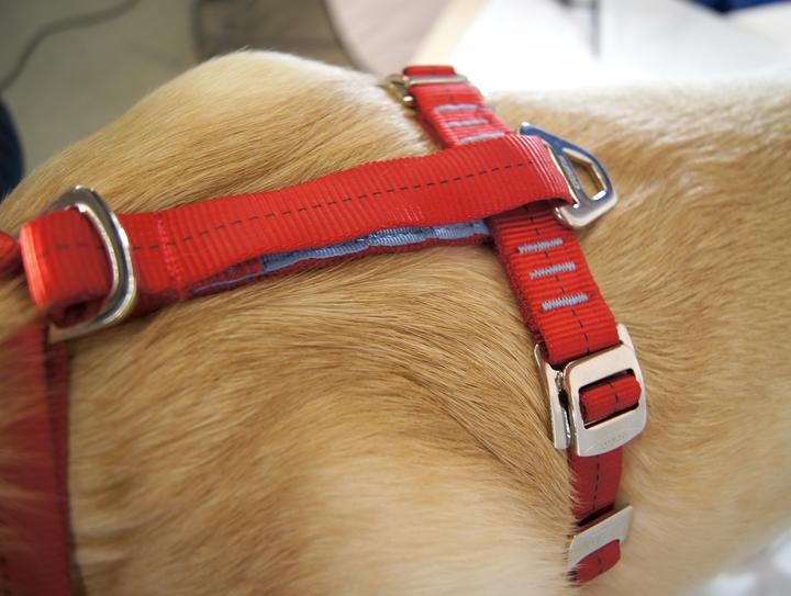 Produktbild Kurgo Tru-Fit-Smart Sicherheitsgeschirr mit Gurt (S, Hund, Allgemein)