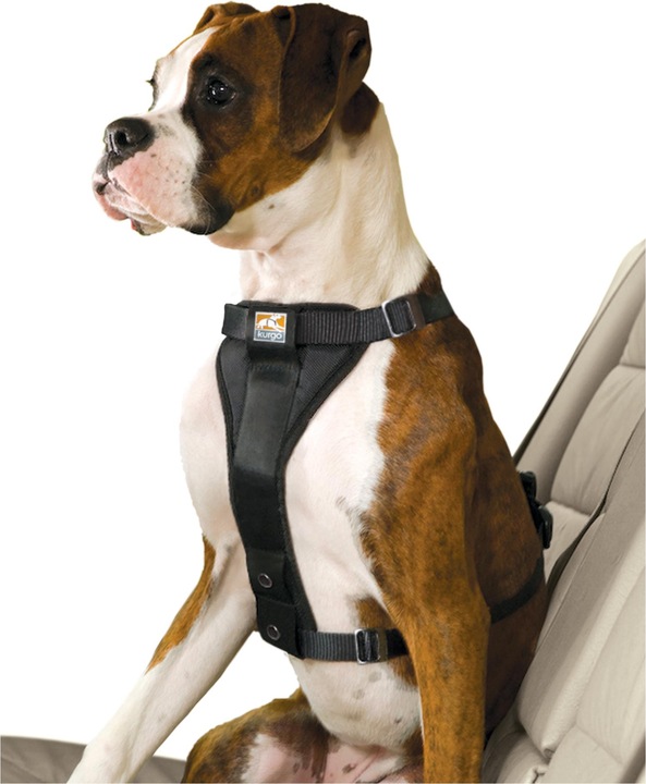Produktbild Kurgo Tru-Fit-Smart Sicherheitsgeschirr mit Gurt (S, Hund, Allgemein)