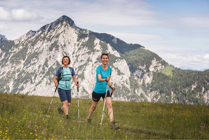 Actual product image Komperdell Calima Carbon Cloud hiking poles (90 - 120 cm)