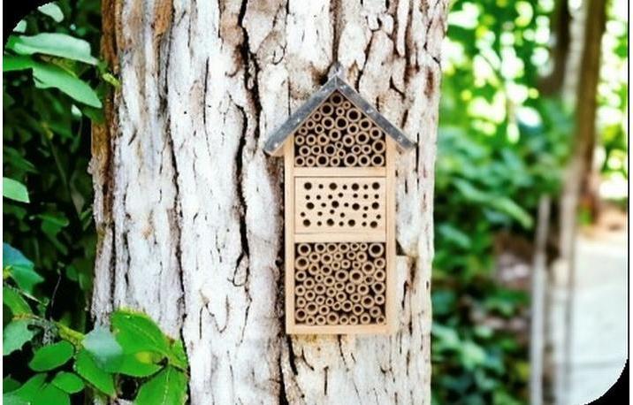 Actual product image Windhager Tiny (Catchy tunes, Lacewings, Wild bees, Ladybirds)