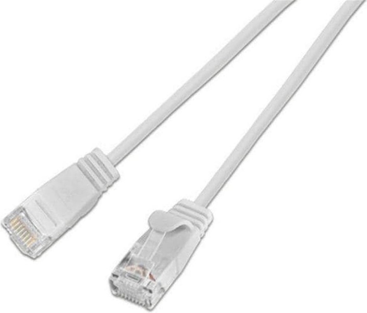 Wirewin Netzwerkkabel (UTP, CAT6, 1 m)