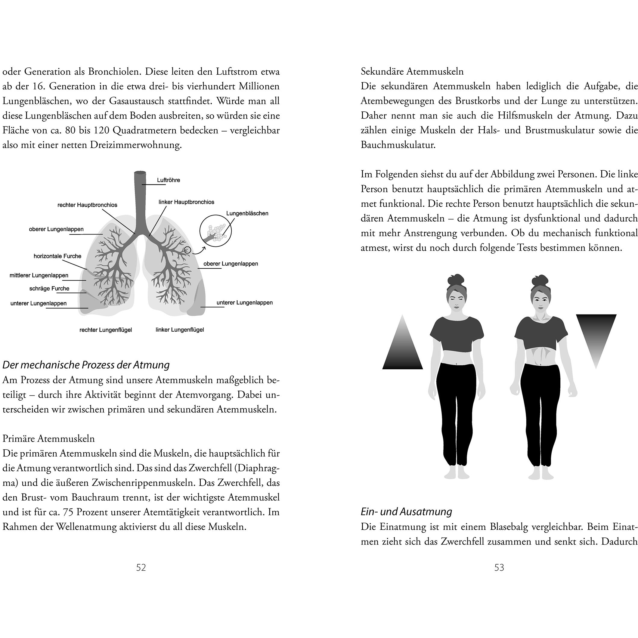 Thumbnail - Lehmann:Breathwork, Ratgeber von Johanna Lehmann