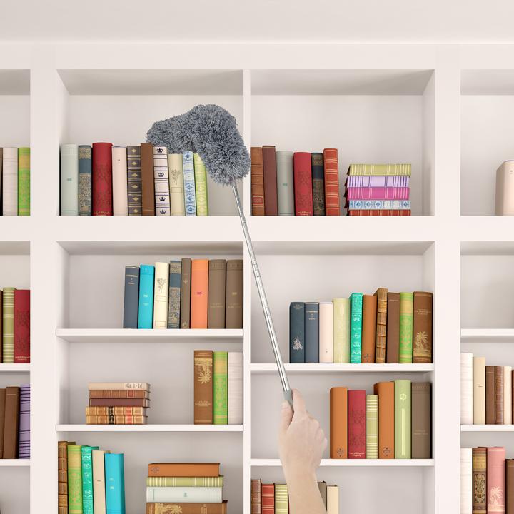 Image du produit Relaxdays Plumeau (1 pcs)