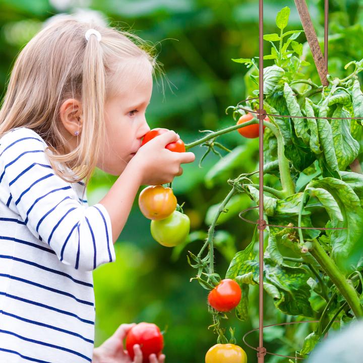 Immagine prodotto Relaxdays 2x aiuto per l'arrampicata (30 cm, 30 cm)