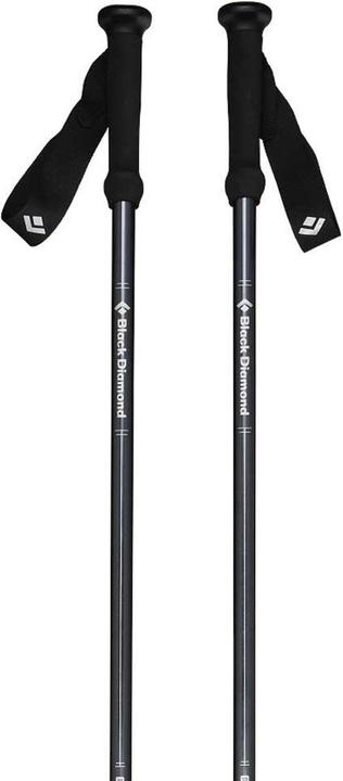 Produktbild Black Diamond Explorer 2 (100 - 140 cm)