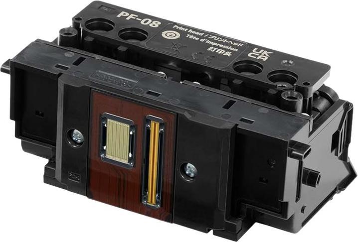Canon Druckkopf