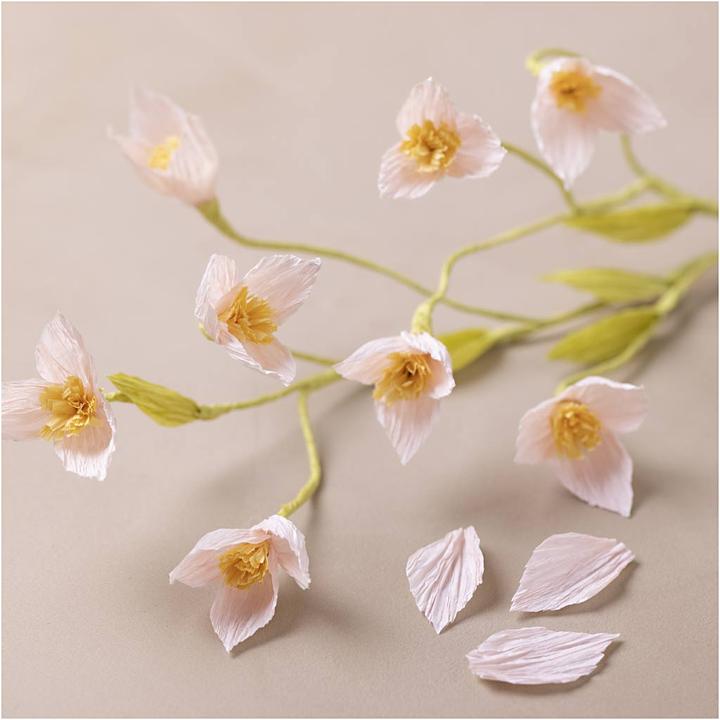 Image du produit Creativ Company Mini kit de bricolage papier crépon (1 x)