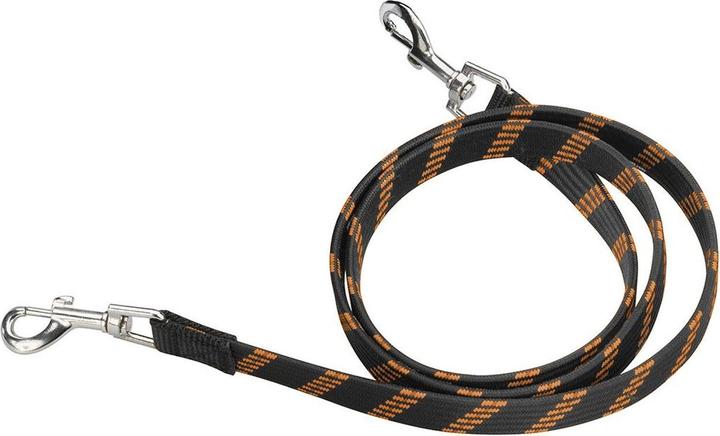 Image du produit EBI D&D Active Walker Leash élastique (Chien, Promenade, Sport canin)